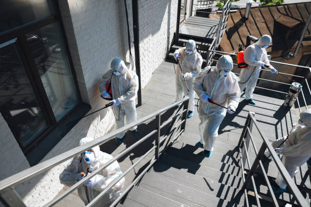 Best Mold Prevention Services  in West Wyomissing, PA