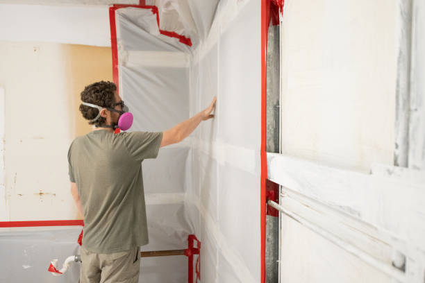 Best Comprehensive Air Testing for Mold Contaminants  in West Wyomissing, PA