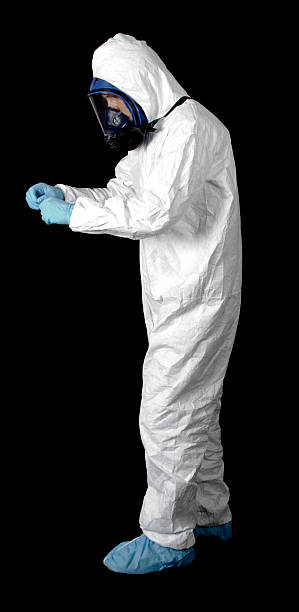 West Wyomissing, PA Mold Removal Company