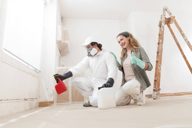Best Black Mold Removal  in West Wyomissing, PA